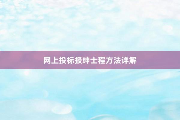 网上投标报绅士程方法详解