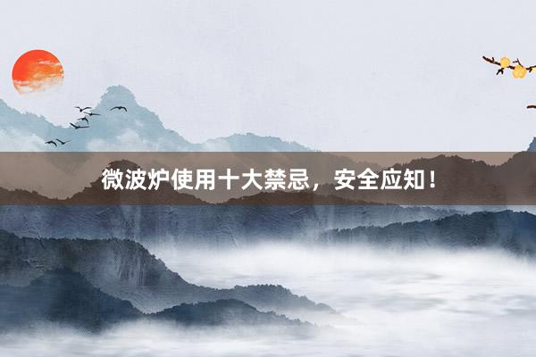 微波炉使用十大禁忌，安全应知！
